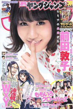 花蝴蝶免费版6集大全多少集