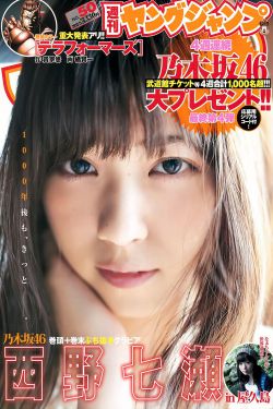 噼里啪啦免费观看高清完整版